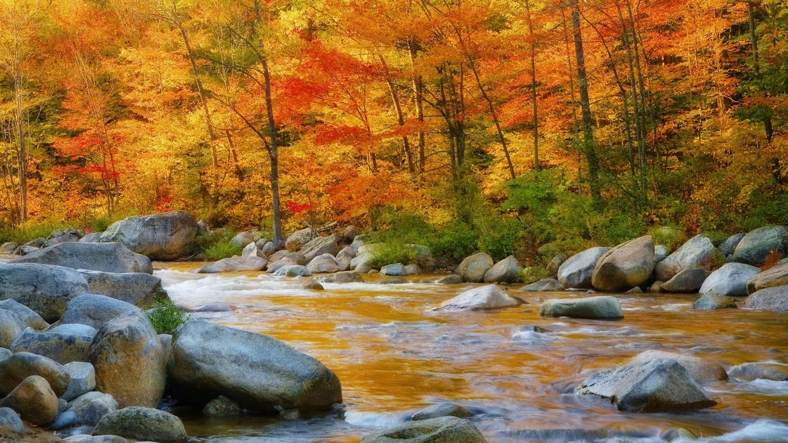 autumn picture wallpaper download river with rocks photos download