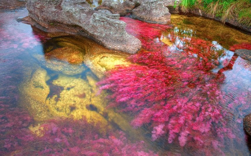 colorful rivers images algei picture photos and download