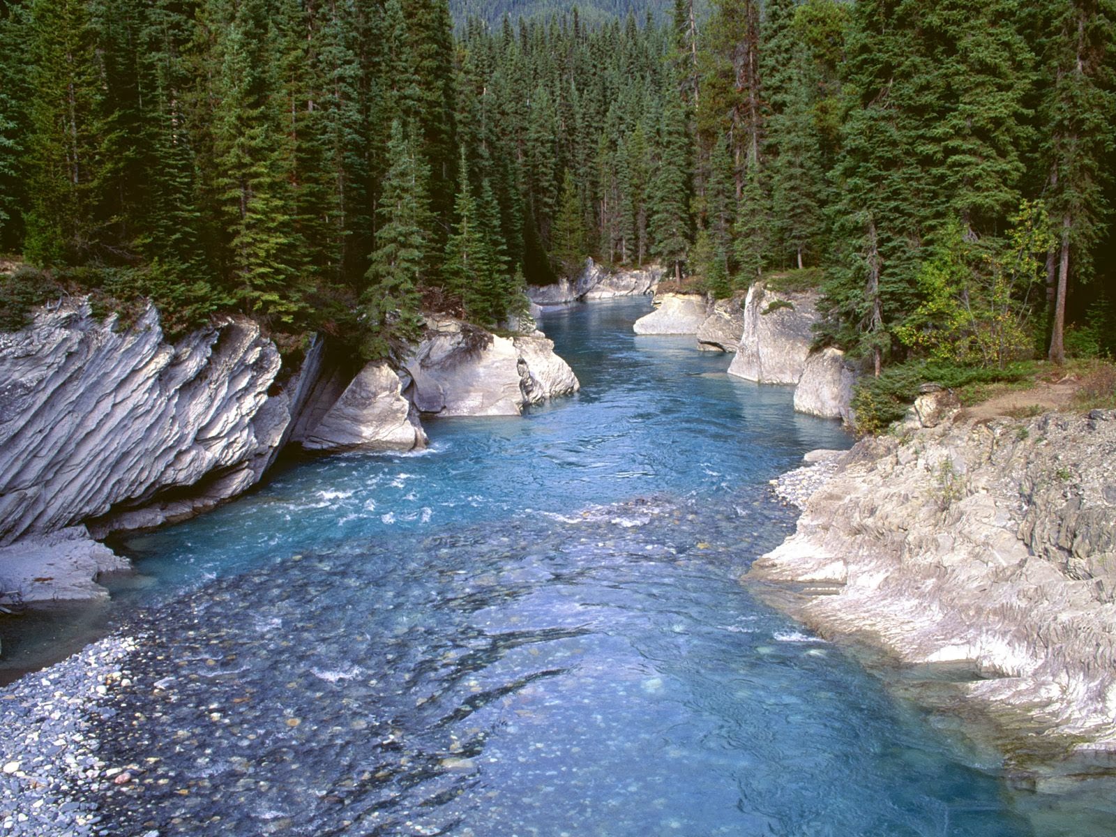heart breakable blue forest river pics images download
