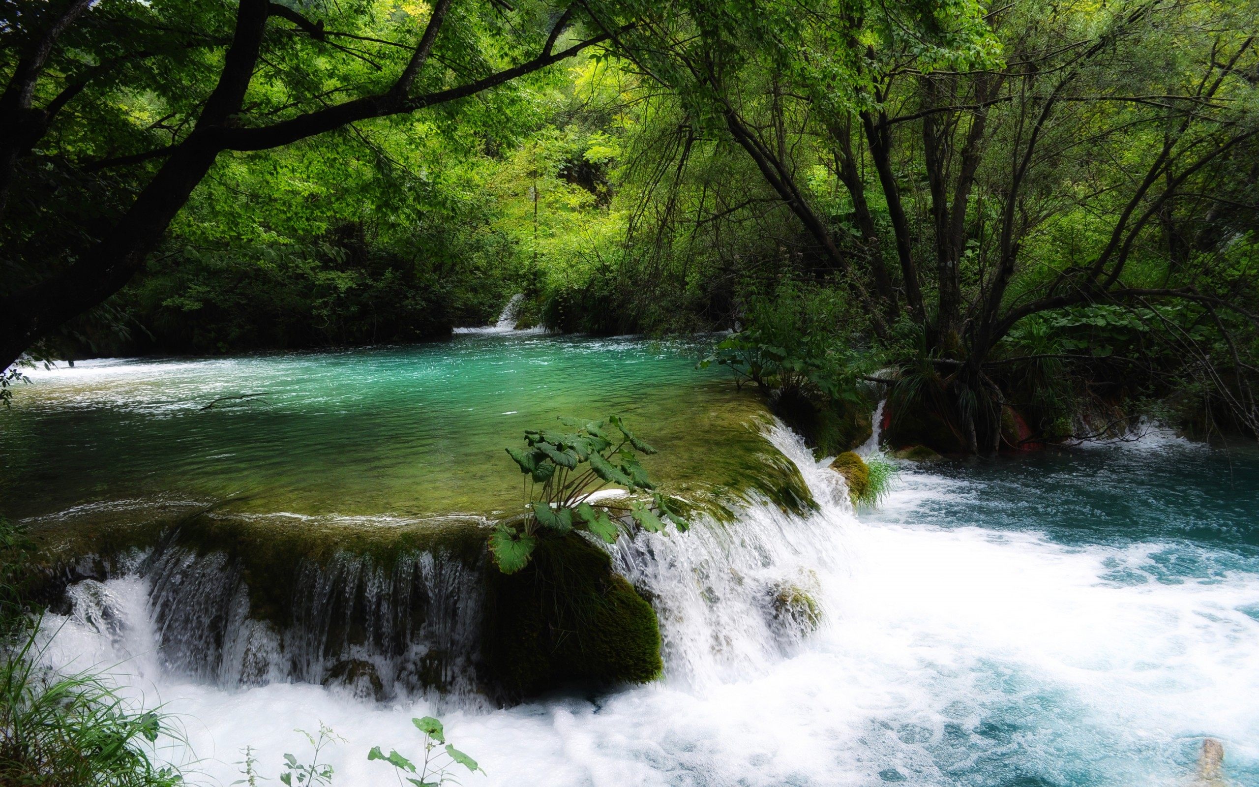 river stream beautiful nature wallpaper images picture download