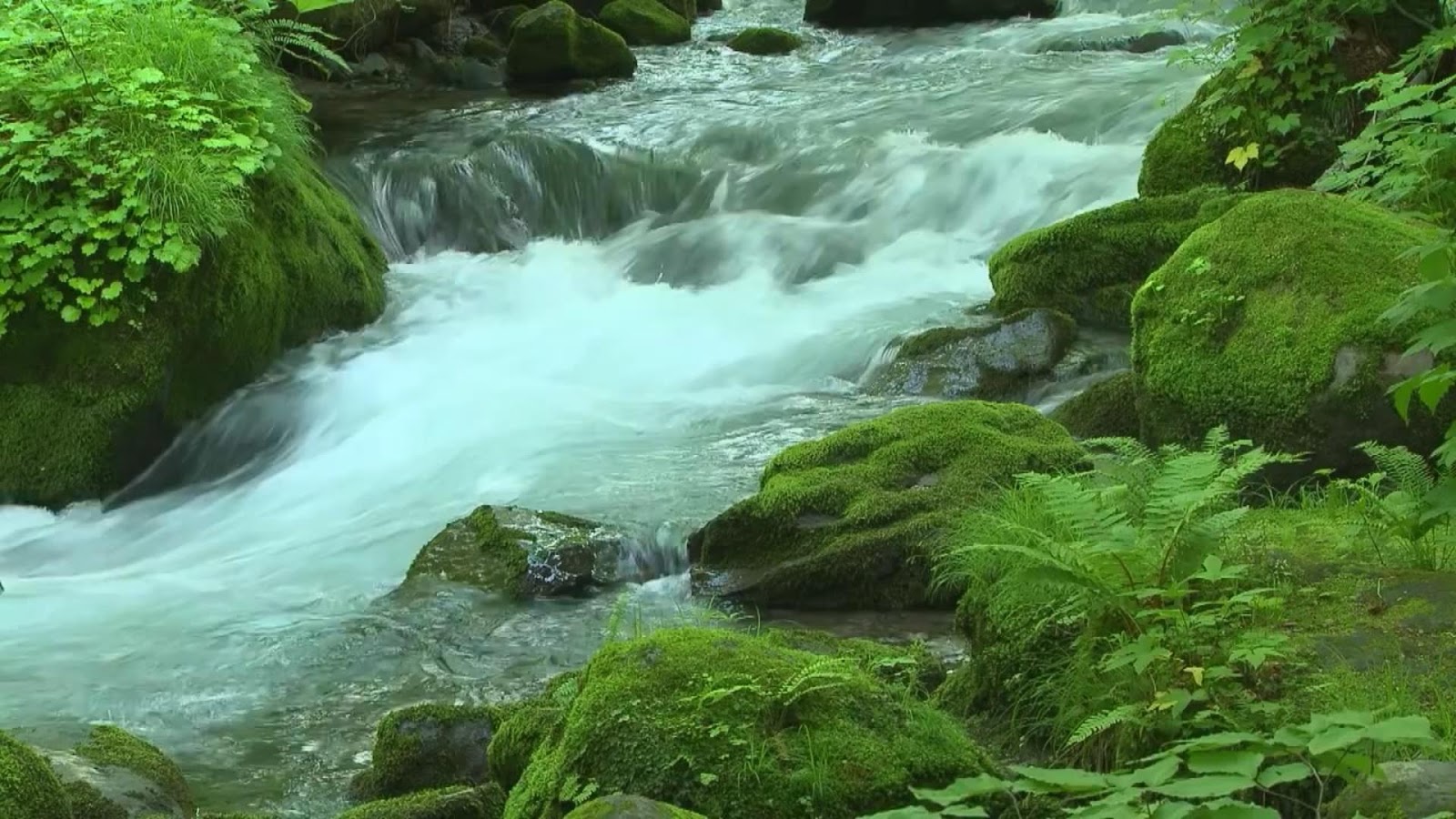 water flow  fresh river hd wallpapers images picture