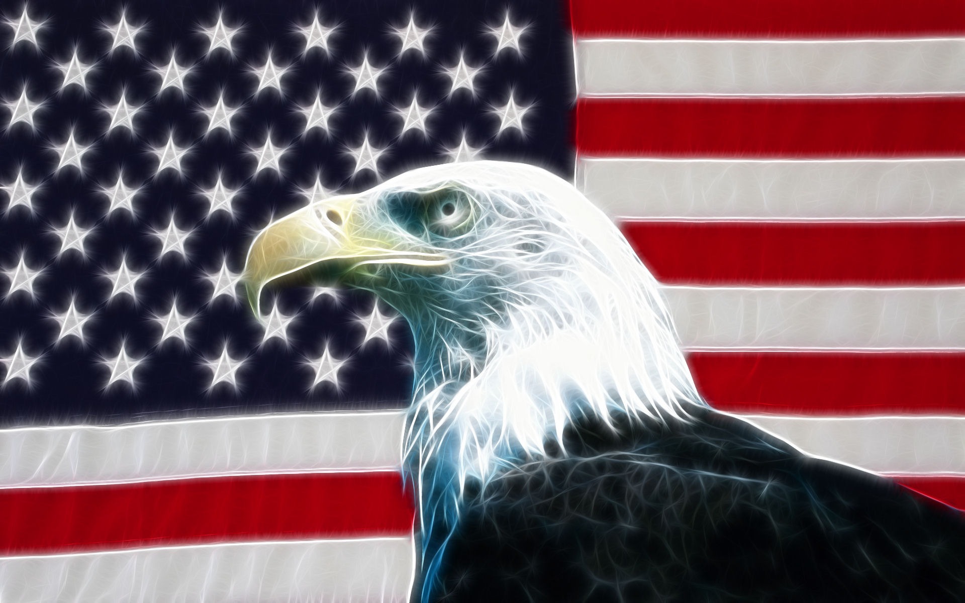 american bald eagle wallpaper 012