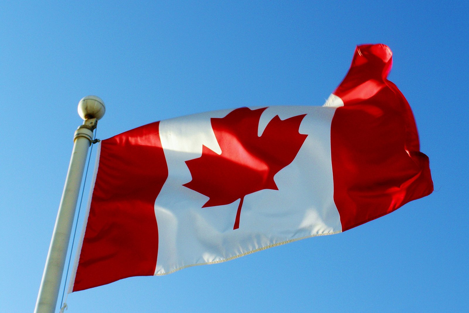 Canada Flag Background Images