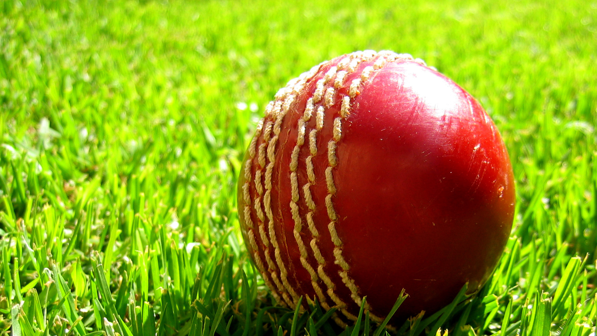 Latest Hd Images For Mobile Tablet Cricket Ball