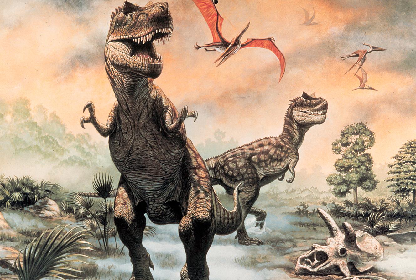 Dinosaurs Catching Bird Awesome Wallpaper