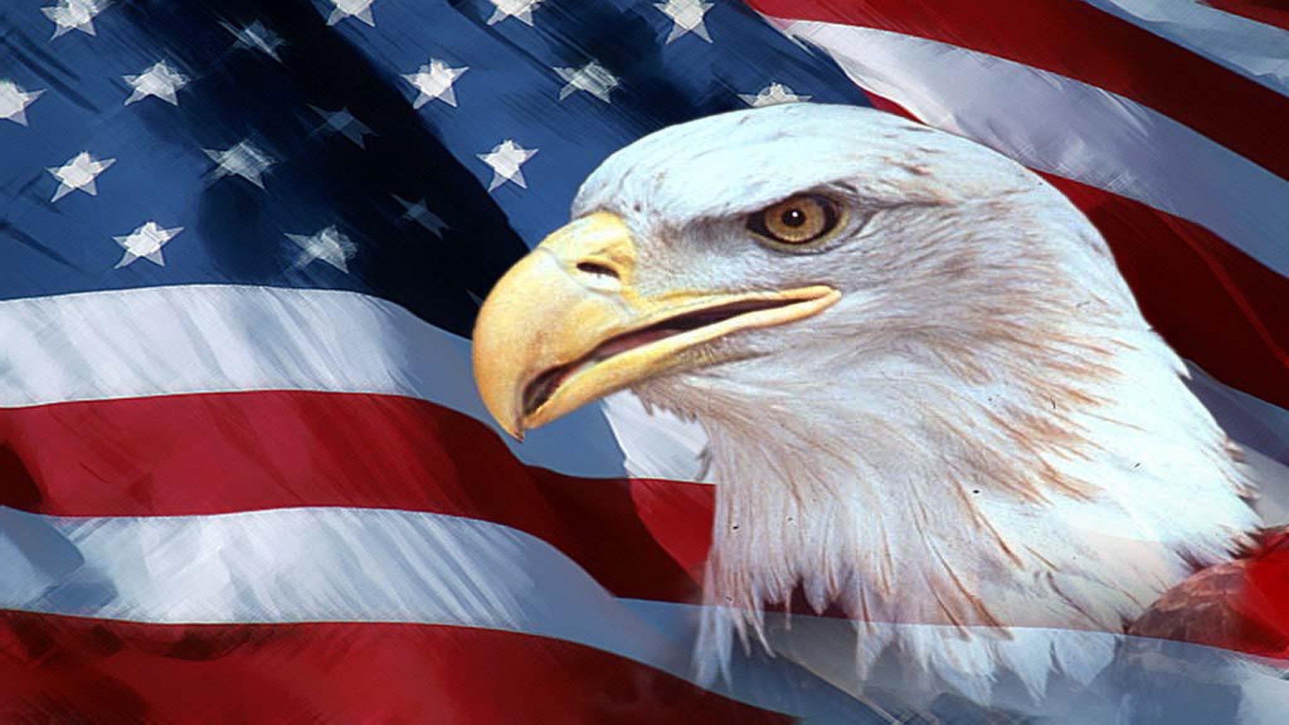 images of the american flag with a eagle dowload