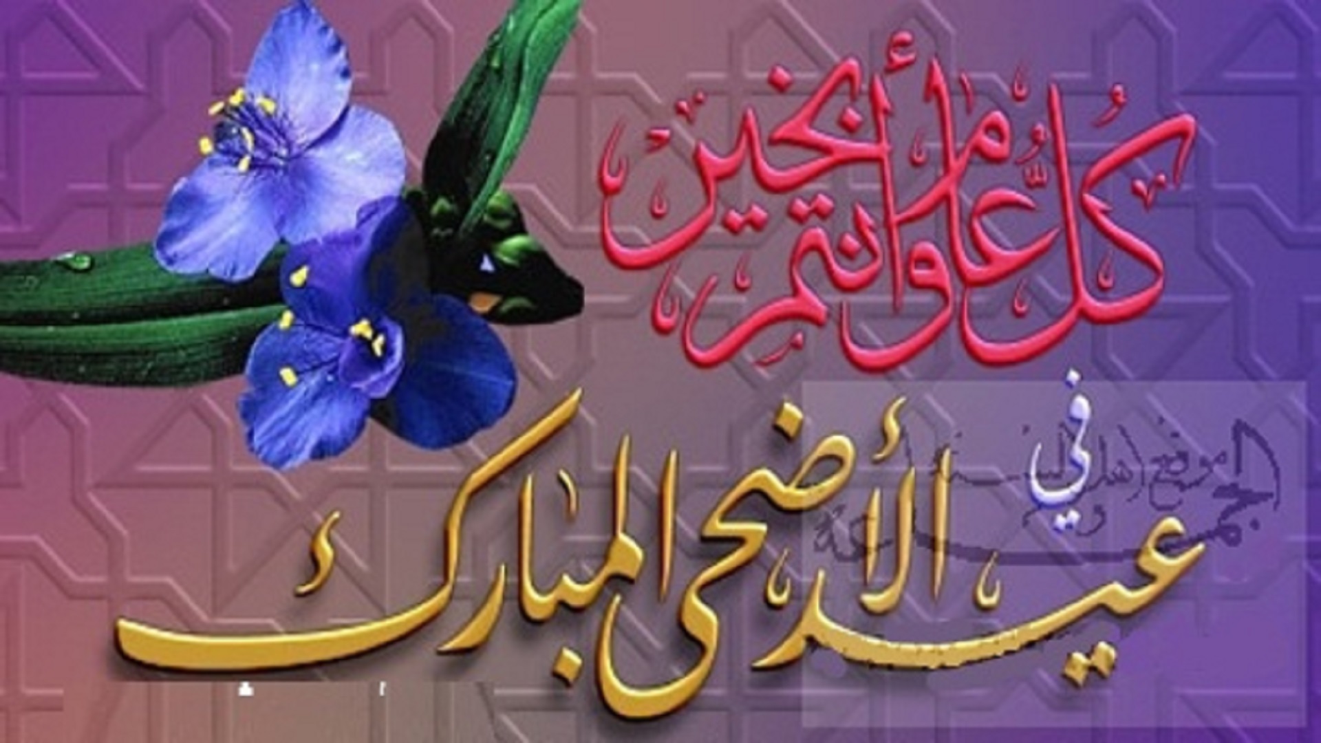 Arabic Eid Ul Adha Wishes Hd Mobile Desktop Free Images