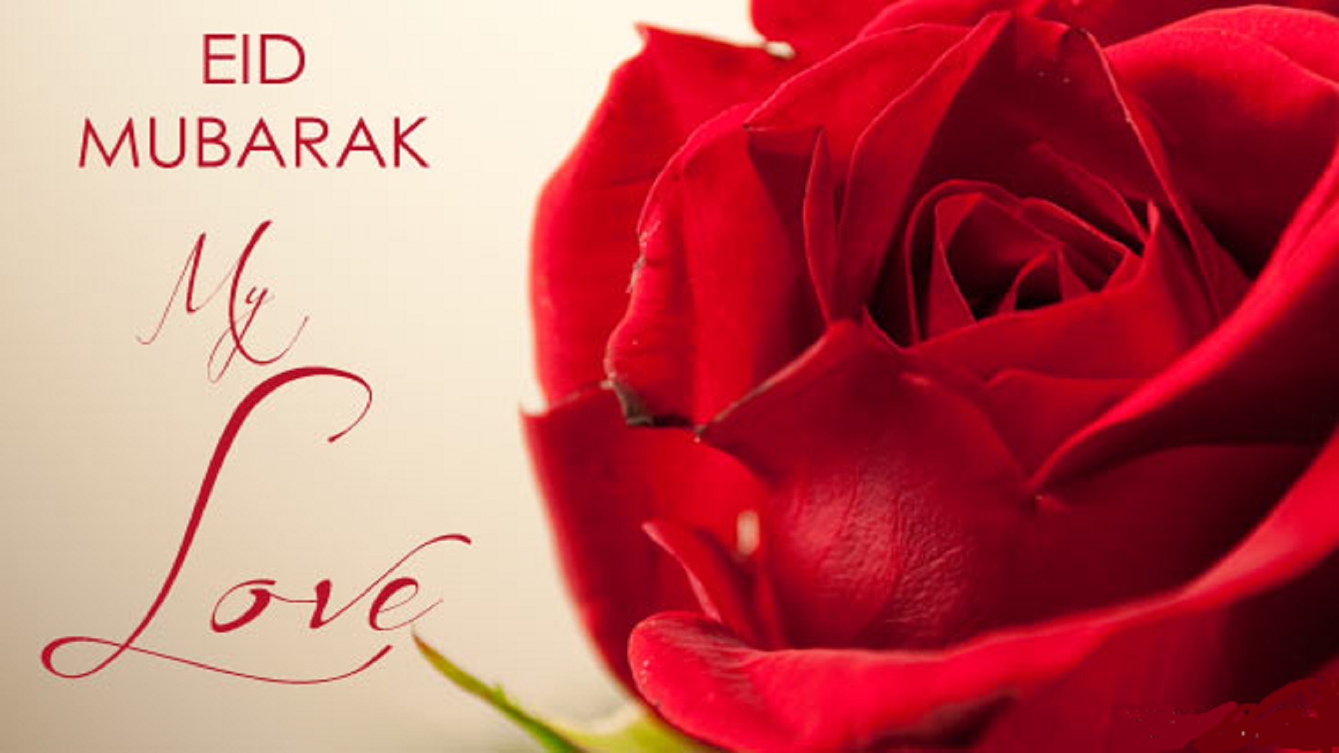 Lovely Eid Mubarak Wishes Mobile Free Hd Download Images