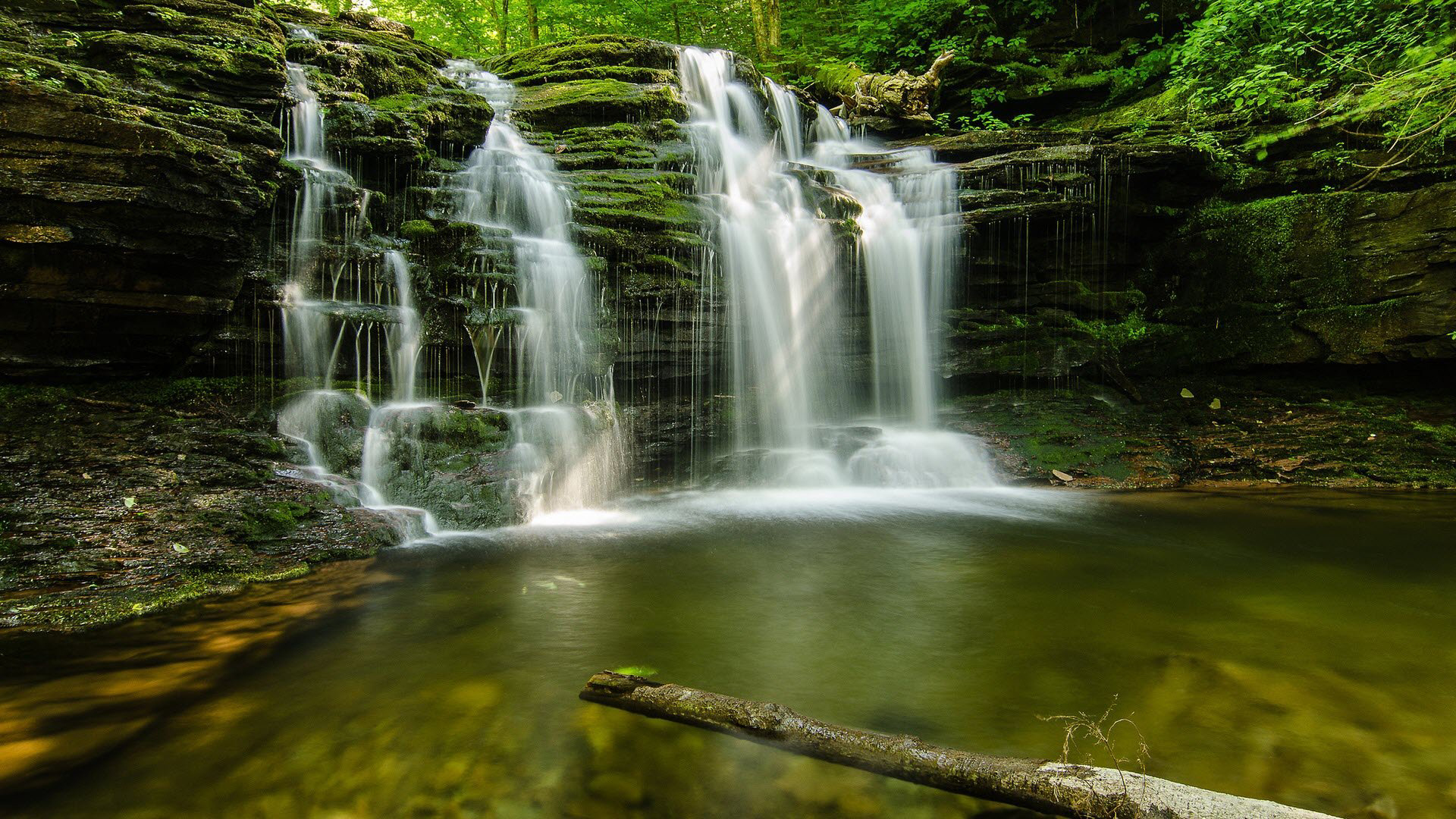 geen forest waterfalls desktop wallpaper images free download