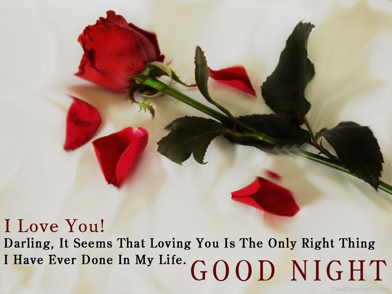 Lovers Saying Good Night Quotes Free Download