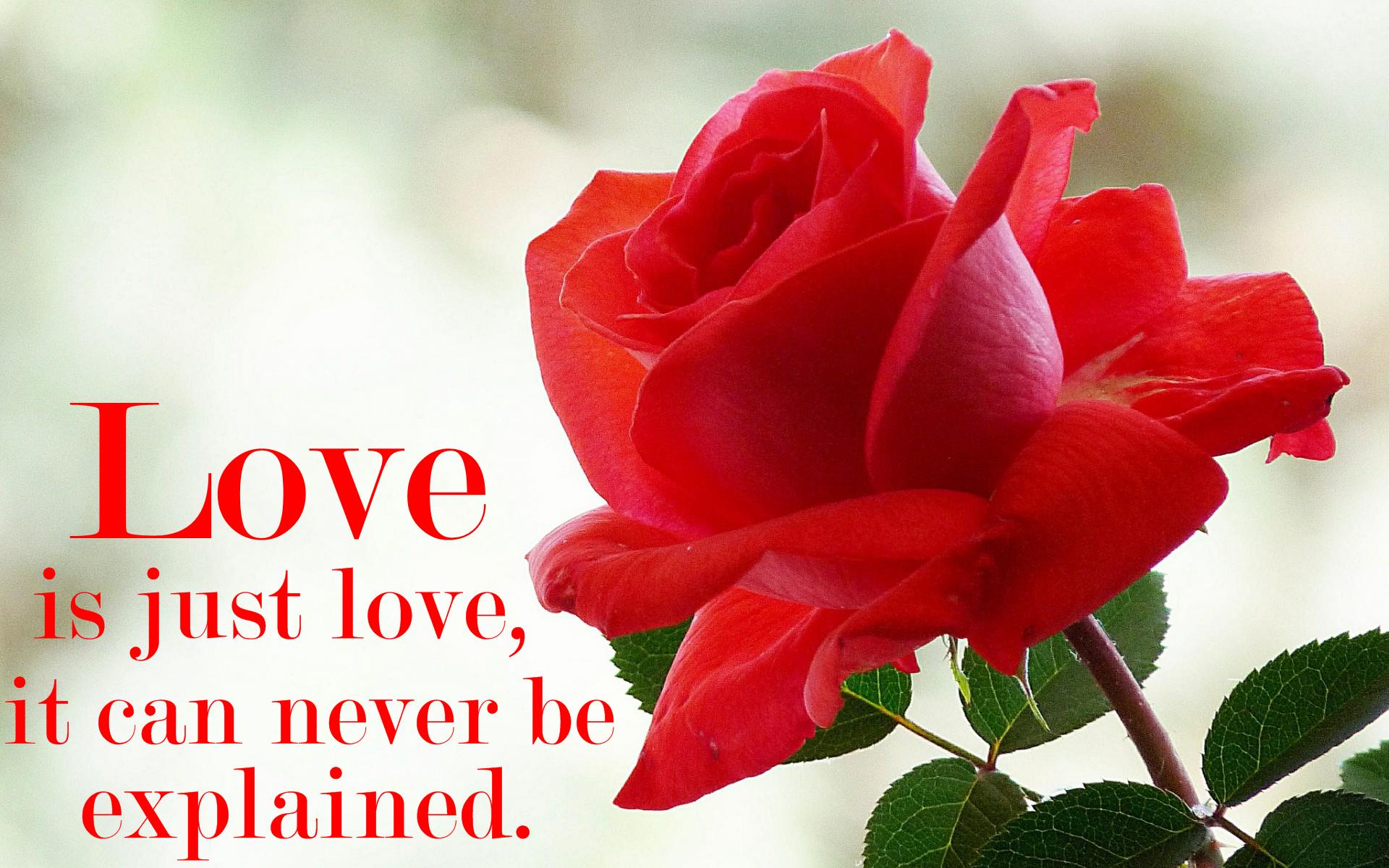 Nice Love Quotes Wallpaper