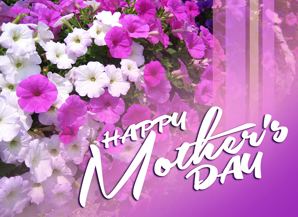 Happy Mothers Day Full Hd Desktop Backgrounds Download
