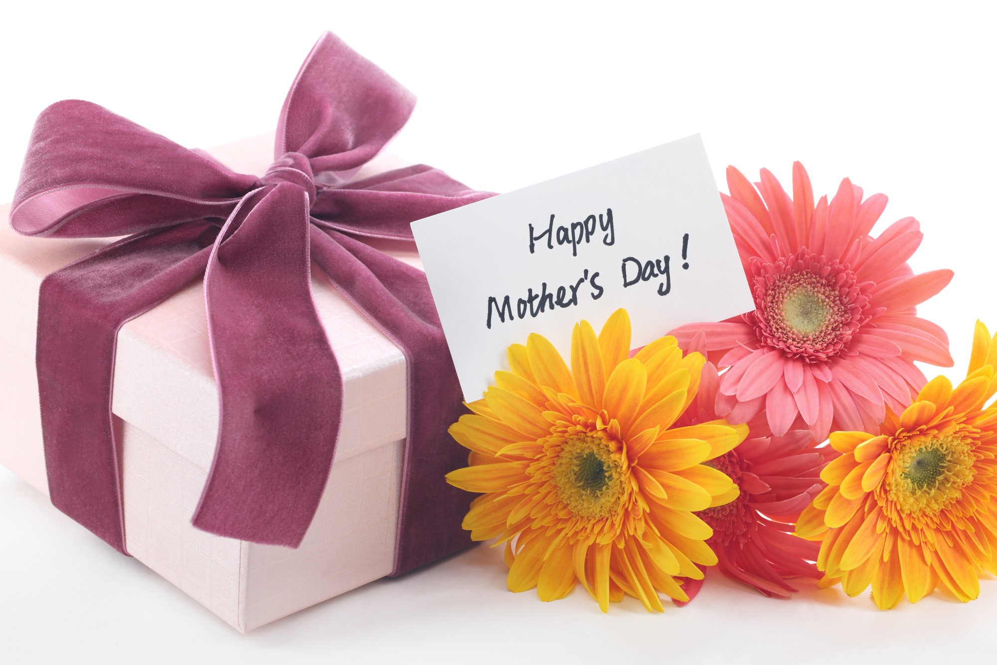Mothers Day Special Greetings Flower Gifts Download