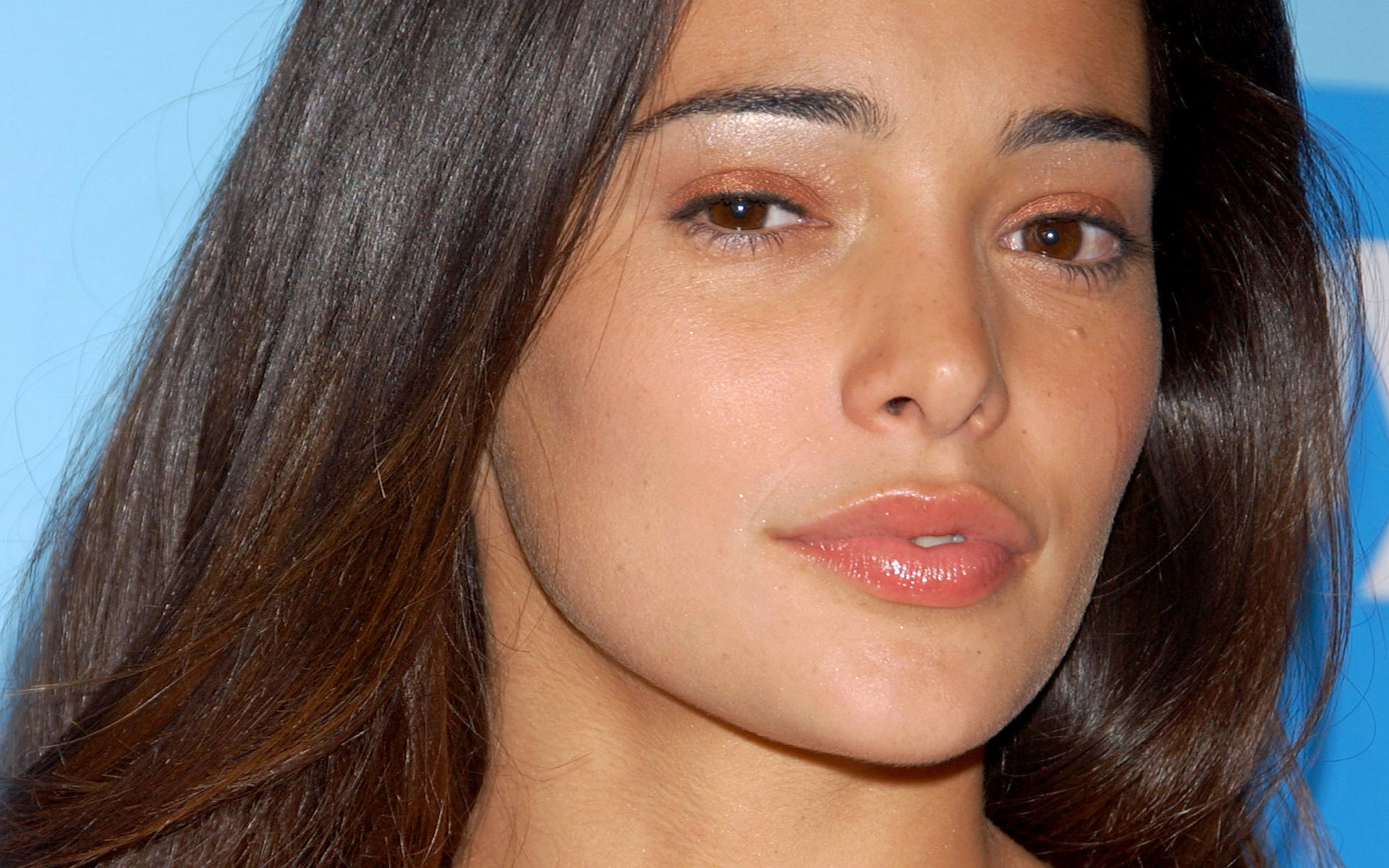 Gorgeous Natalie Martinez Image Free Download Pictures Hd