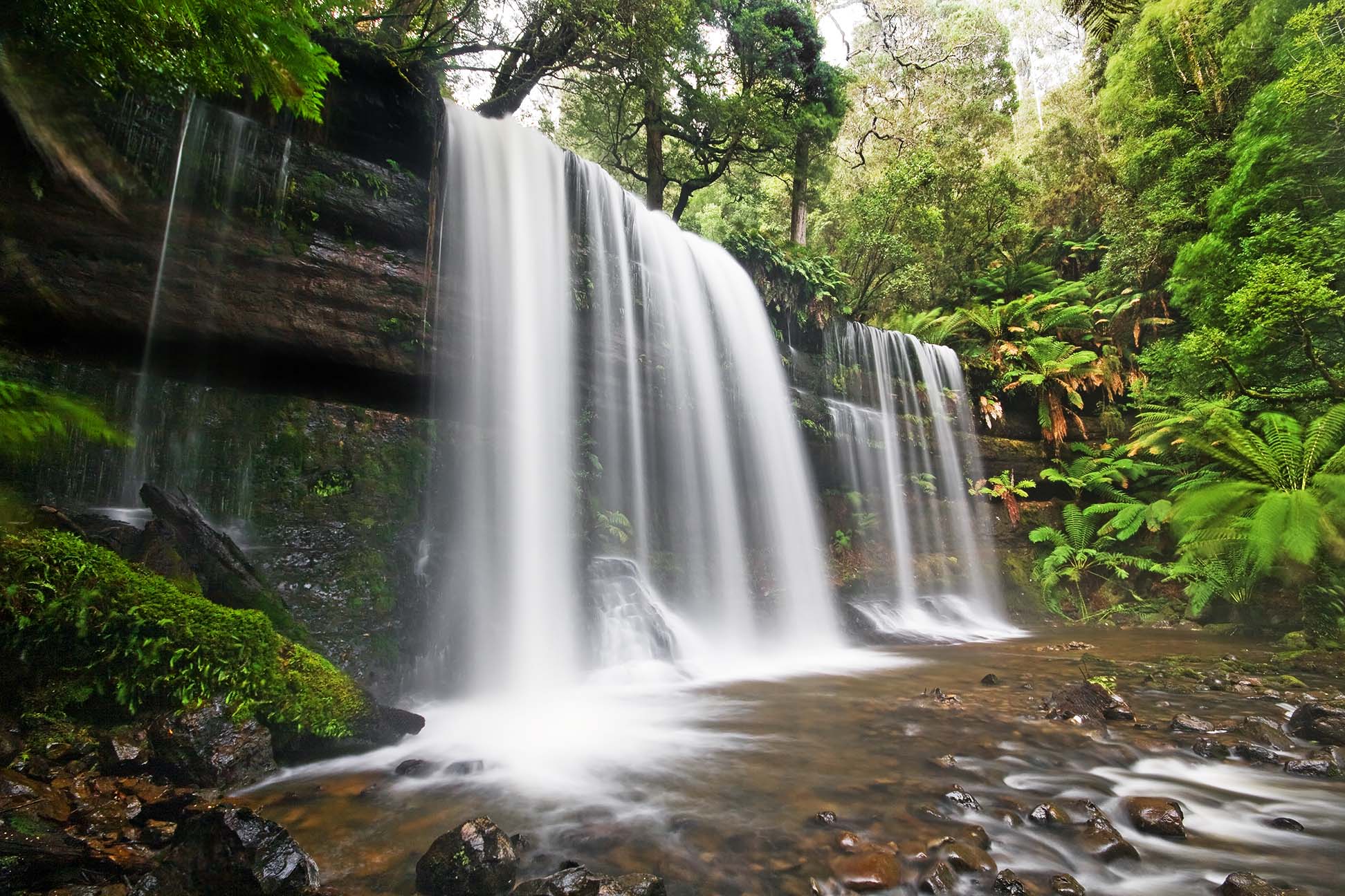 russell falls mount field national prk tasmania pictures free
