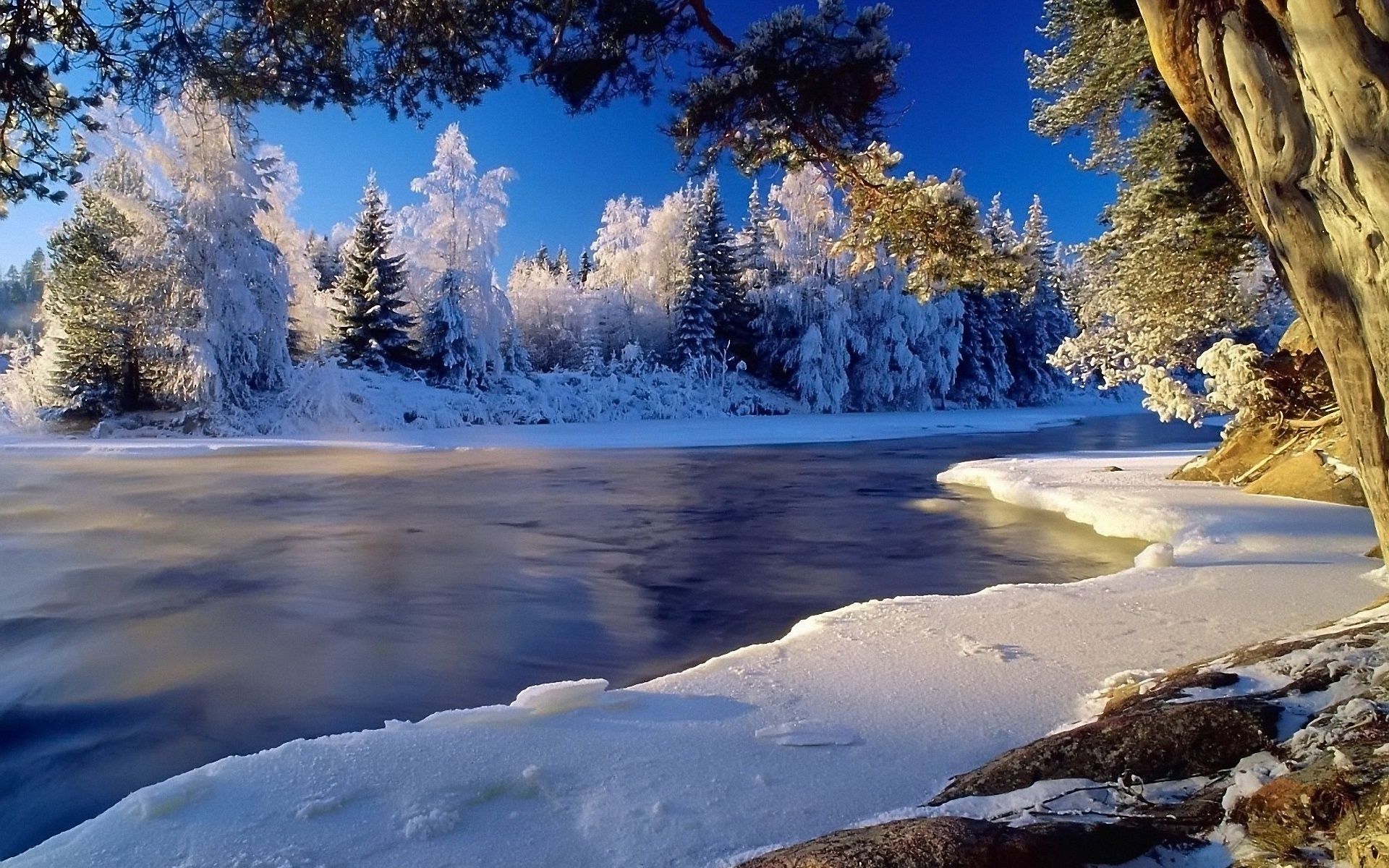 Winter Landscape Wallpaper Hd Views Picture Download