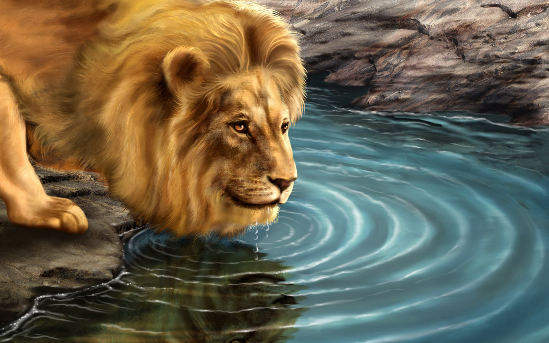 3d Lion Mobile Background Wallpaper Hd
