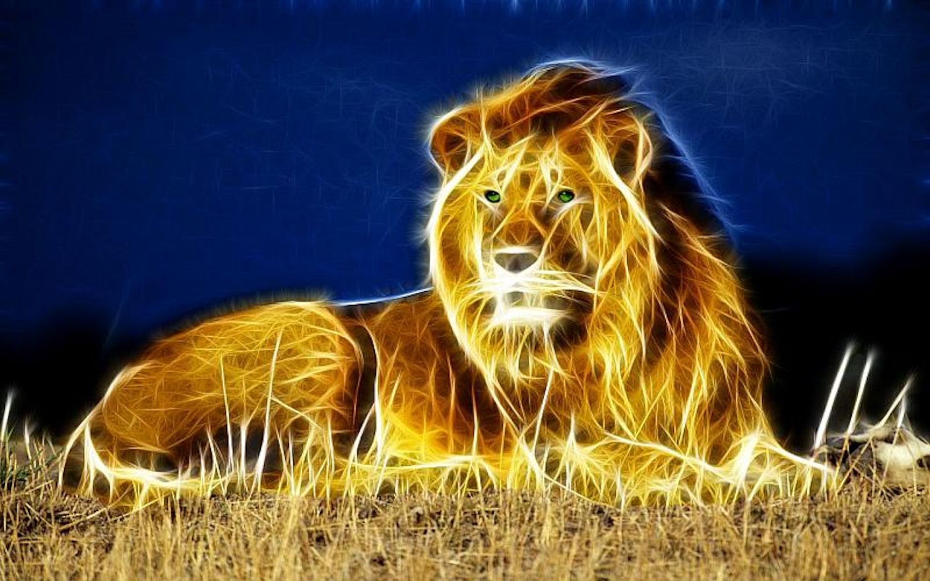 3d Lion Mobile Background Wallpaper