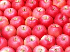 Desktop 3d Red Apple Fruits Mobile Laptop Wallpapers Free Download
