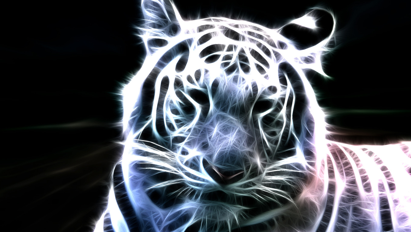 Desktop White Tiger 3d Mobile Laptop Wallpapers Free Download