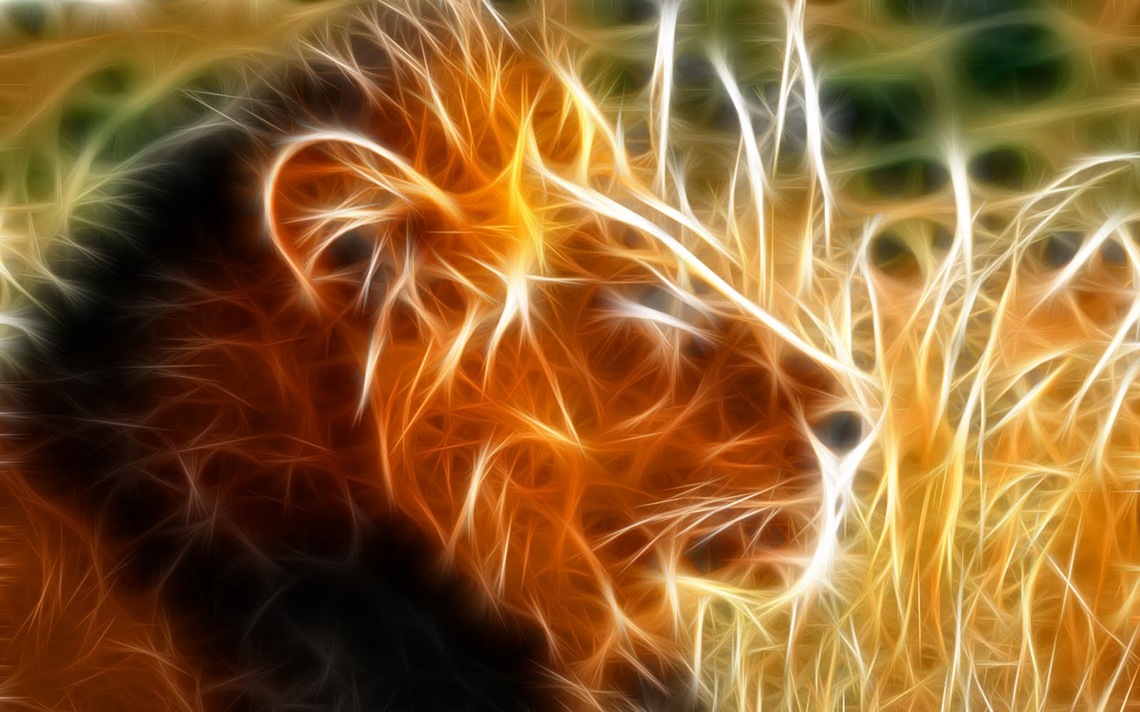 Hd 3d Lion Mobile Background Wallpapers