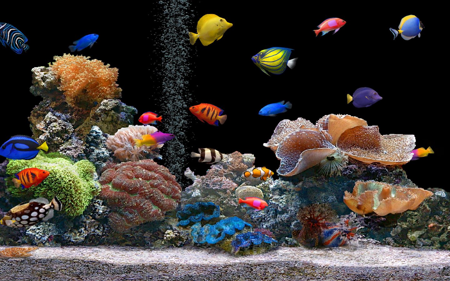 hd aquarium fish 3d mobile background wallpaper