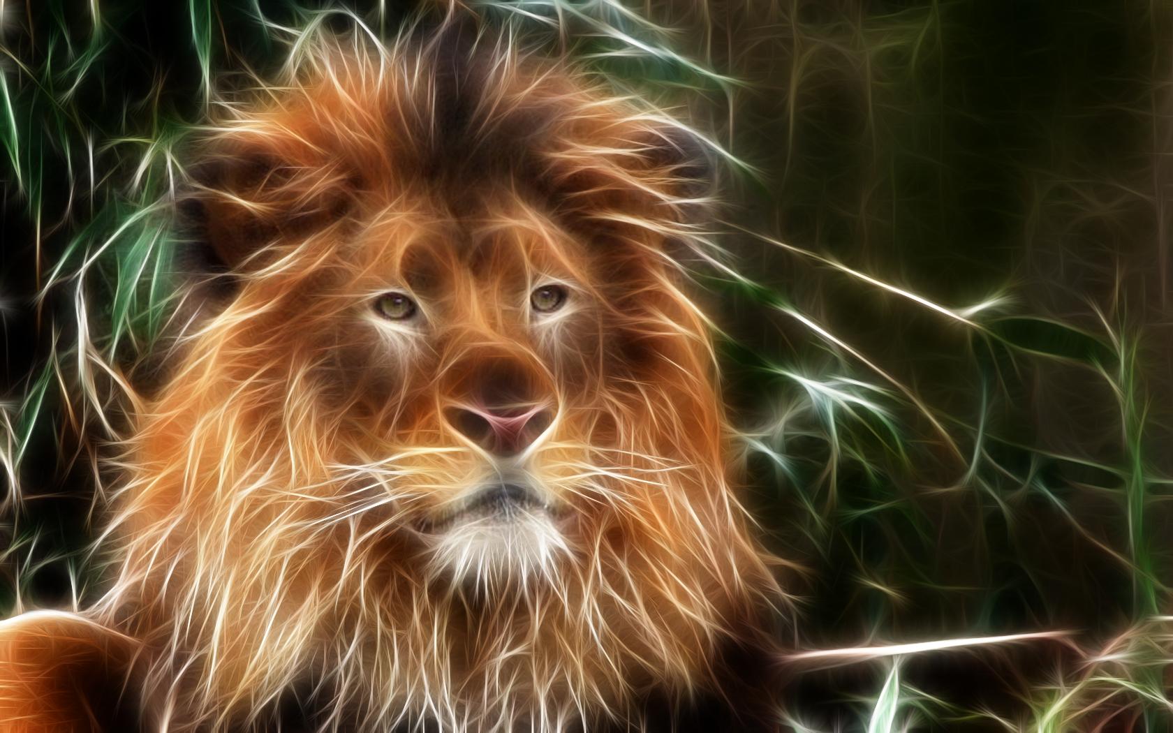 Lion Mobile Background Wallpaper 3d