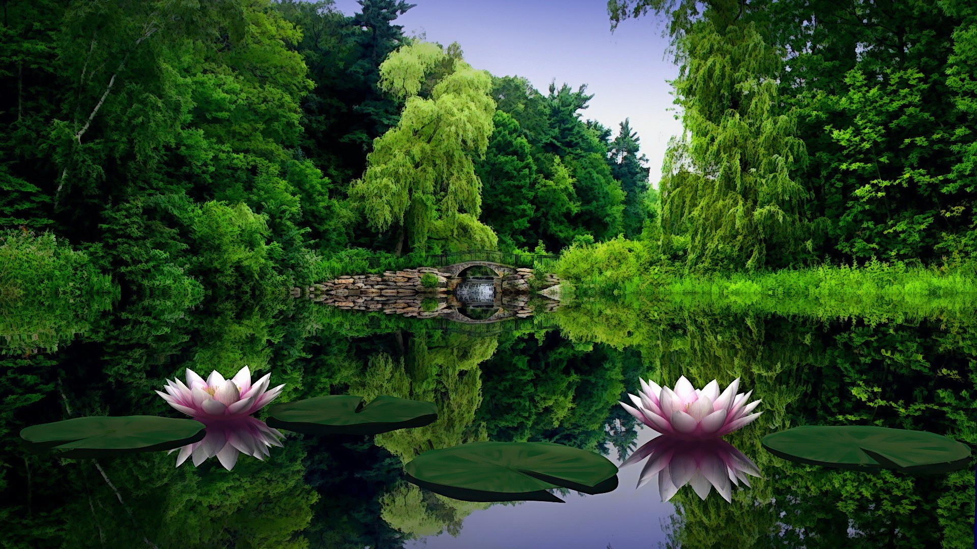 flowers at river wallpapers picture images hd views download