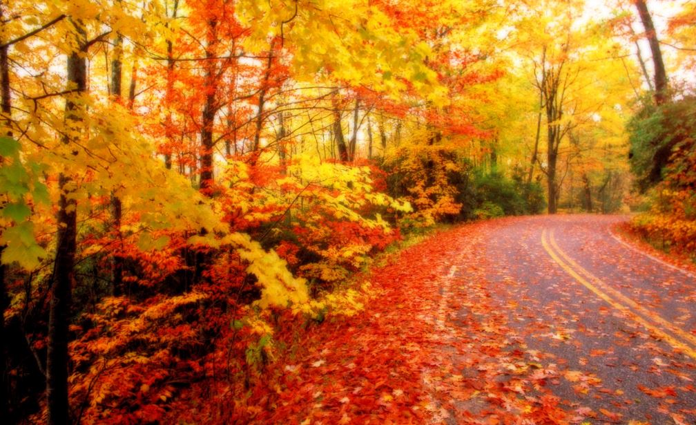 dream of autumn wallpaper hd image free download