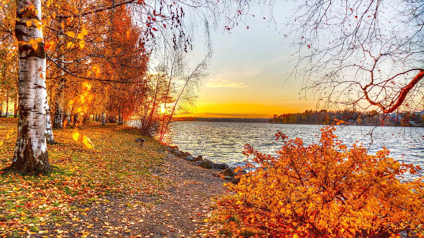 evening autumn park wallpaper and desktop image download