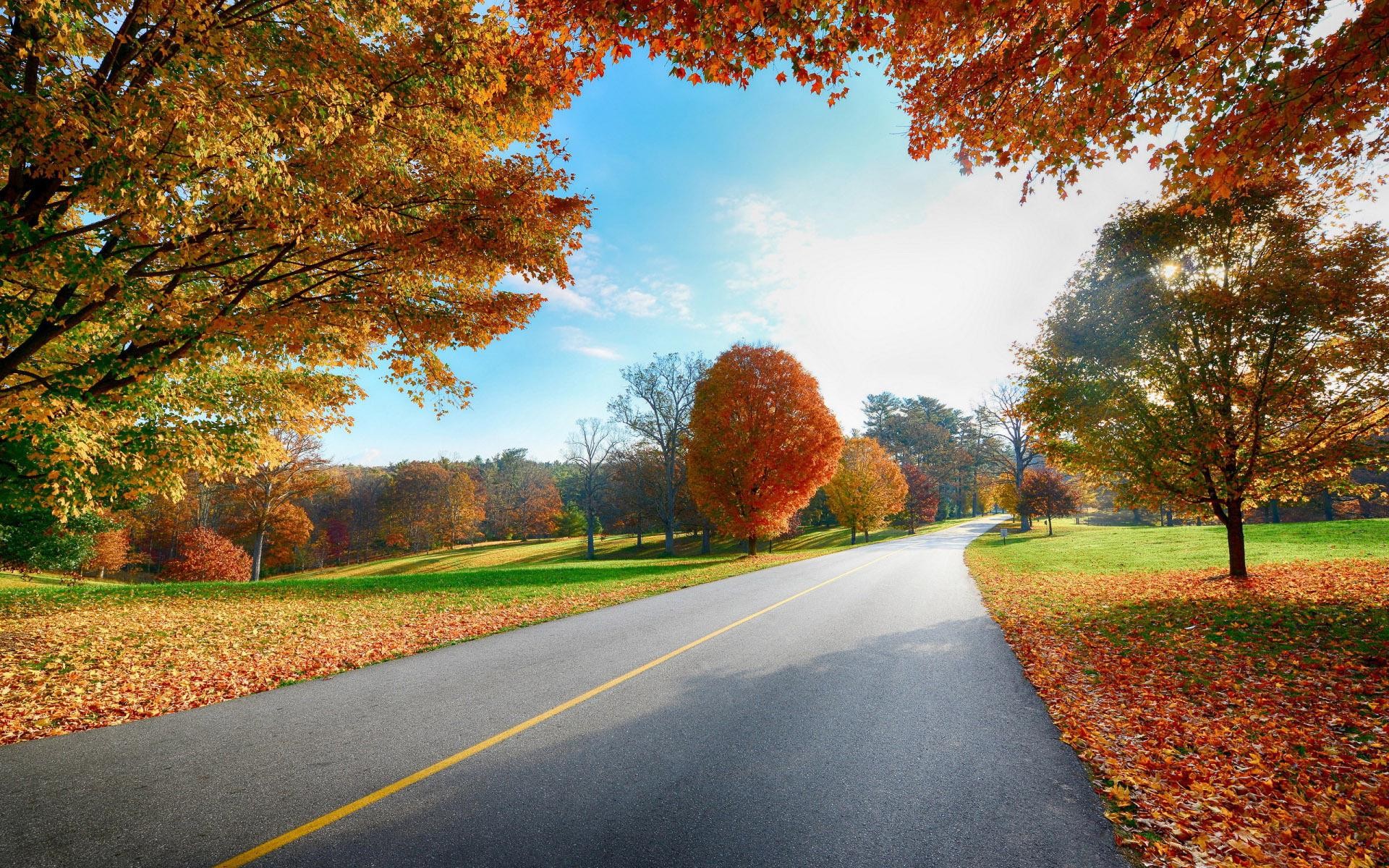 lovely country road autumn and desktop wallpaper image