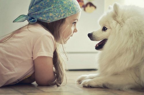 cute baby and dog pics