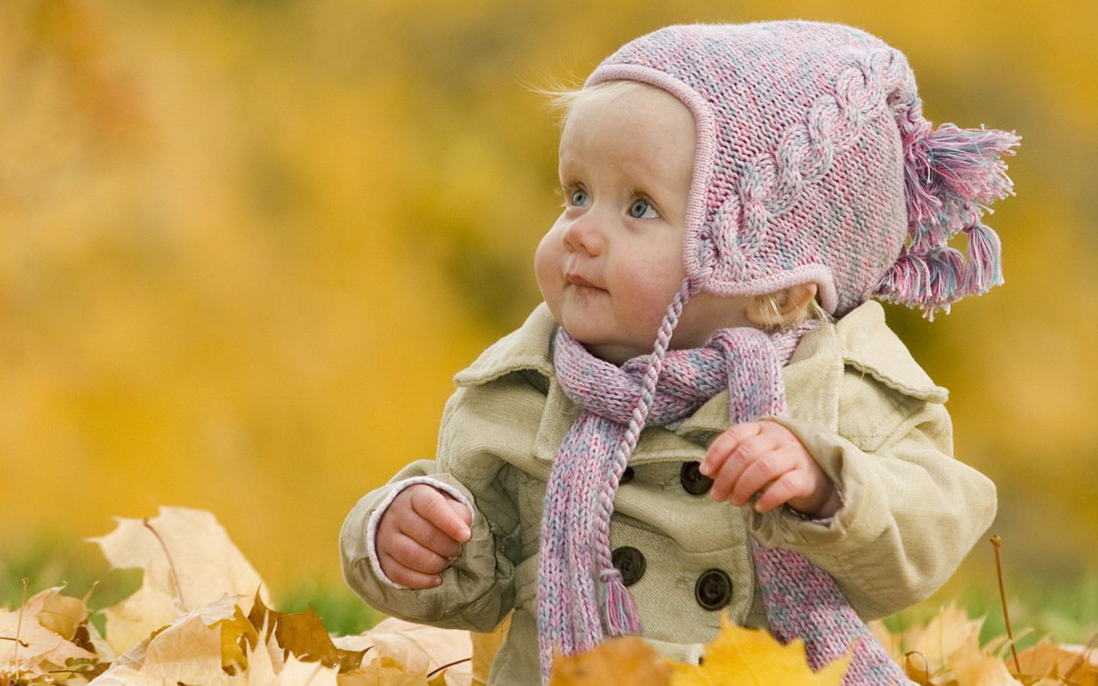 Cute Baby Pictures Hd Wallpaper Hd 3D