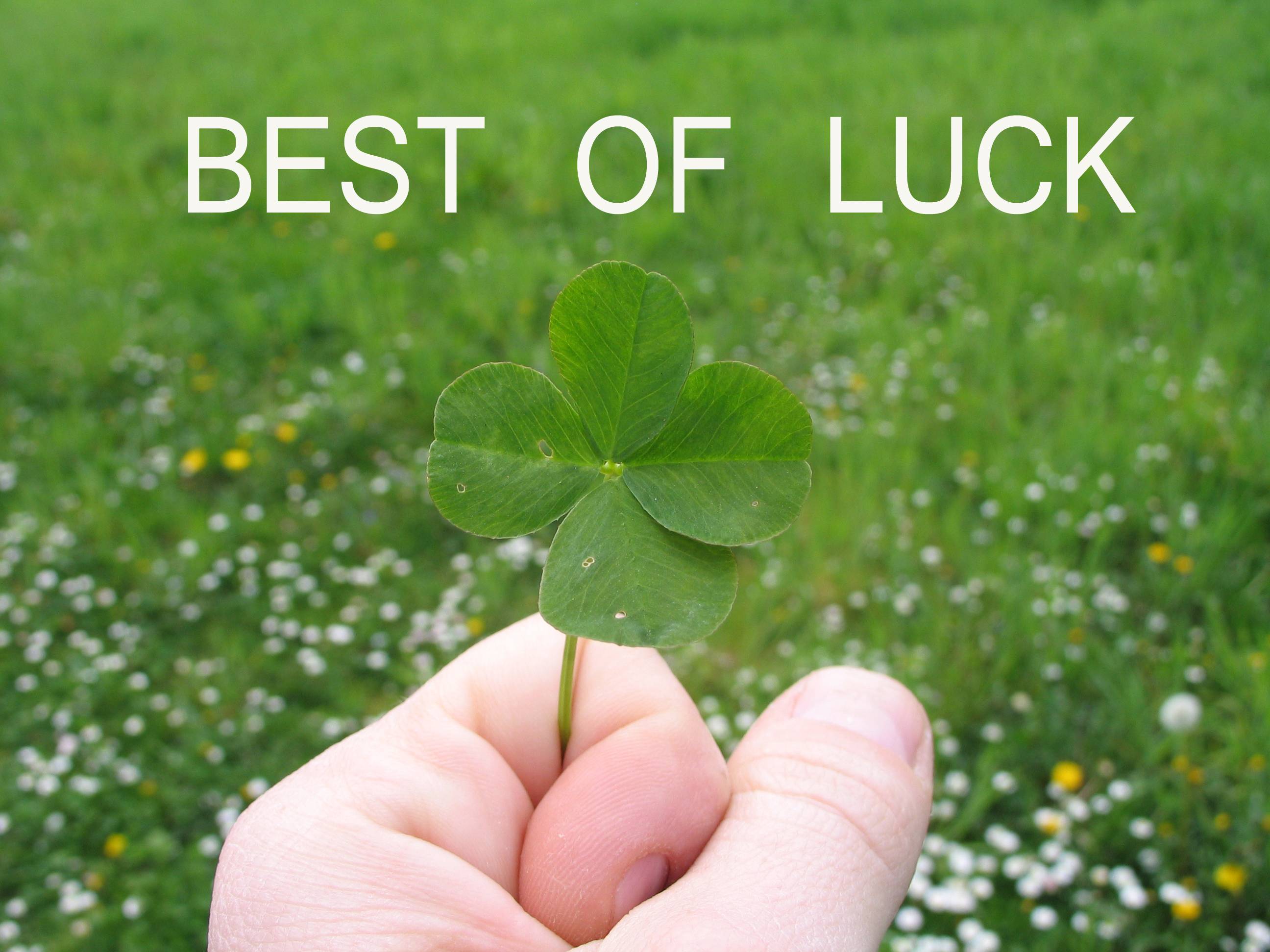 Hd Download Best Of Luck Wallpapers
