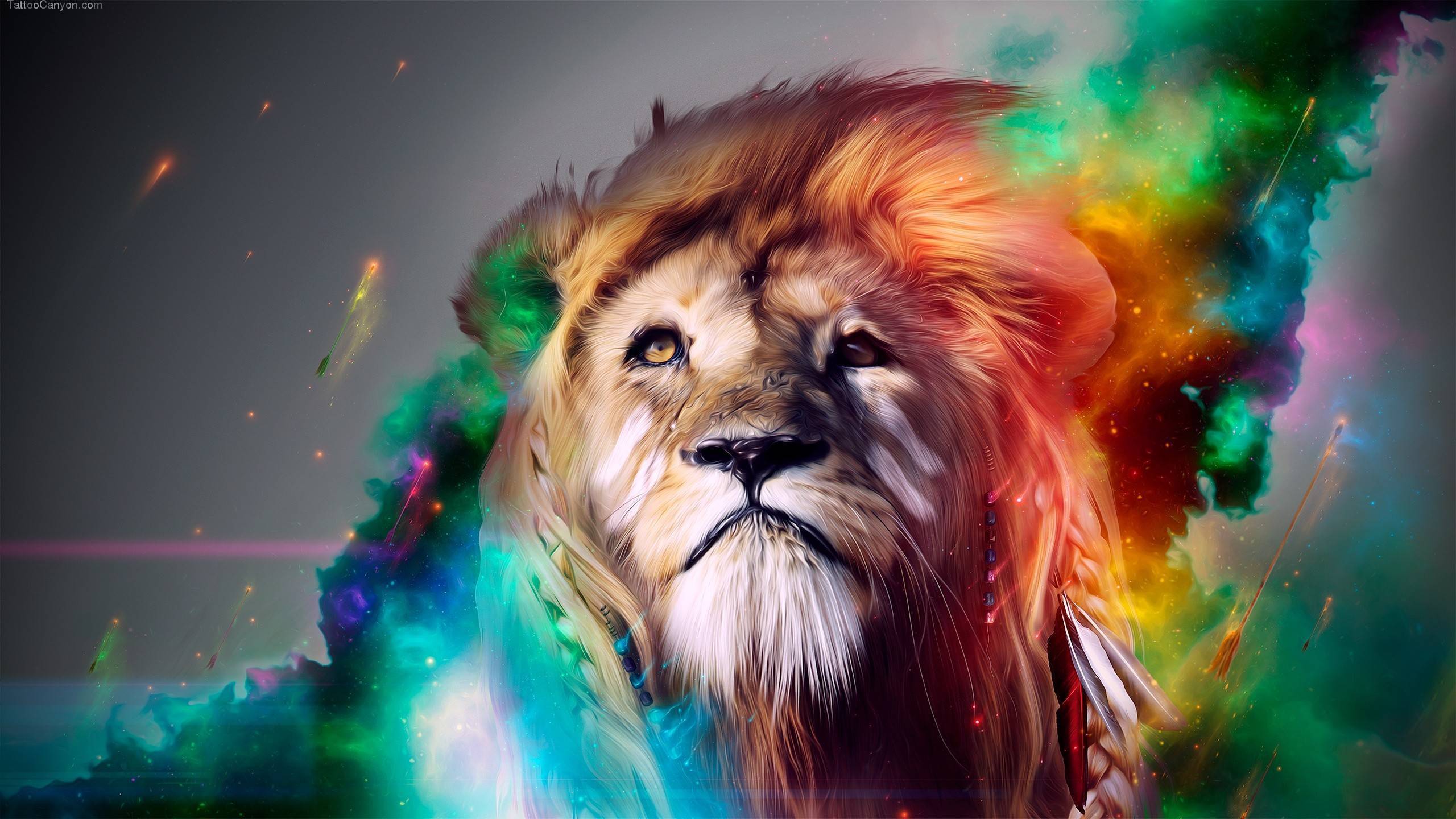 Awesome Lion 4k Background Wallpapers