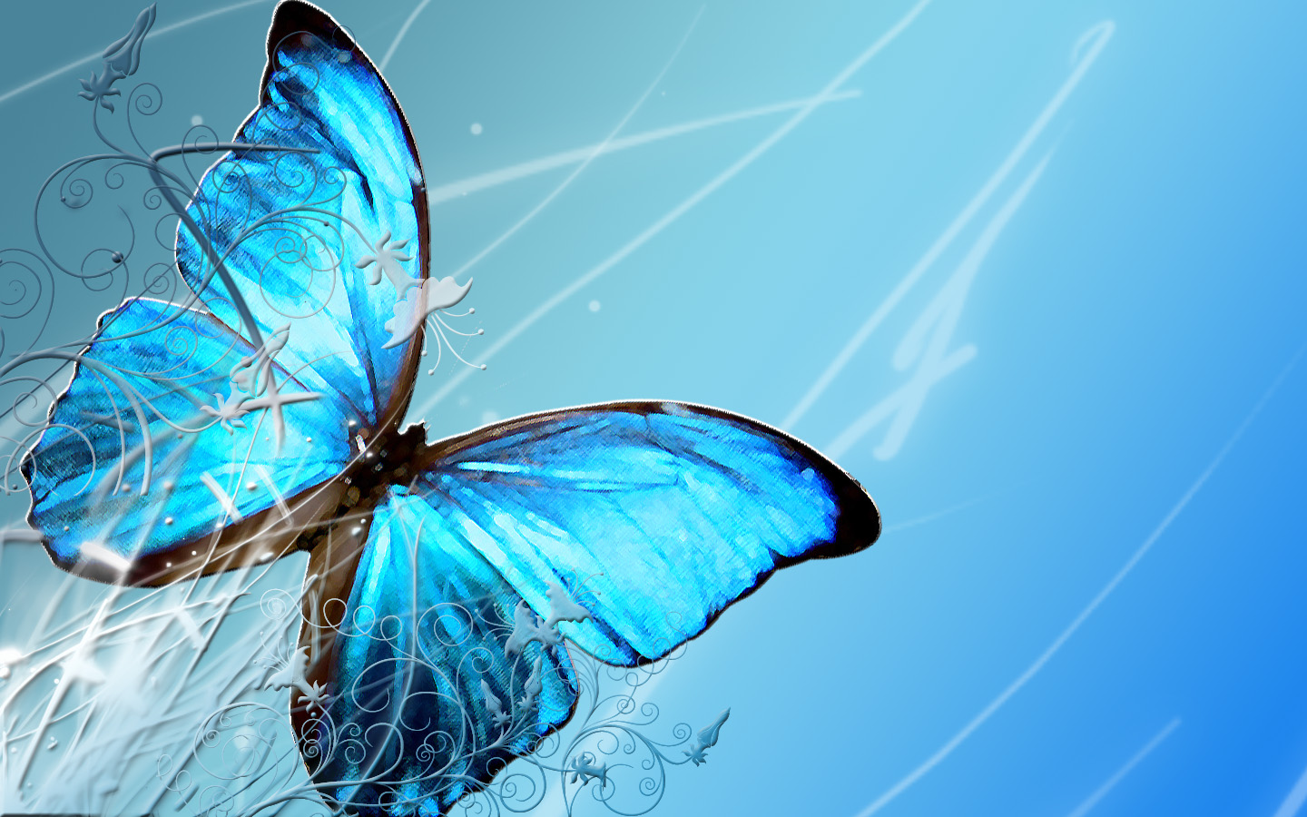 Butterfly Mobile Desktop Background Wallpaper Download