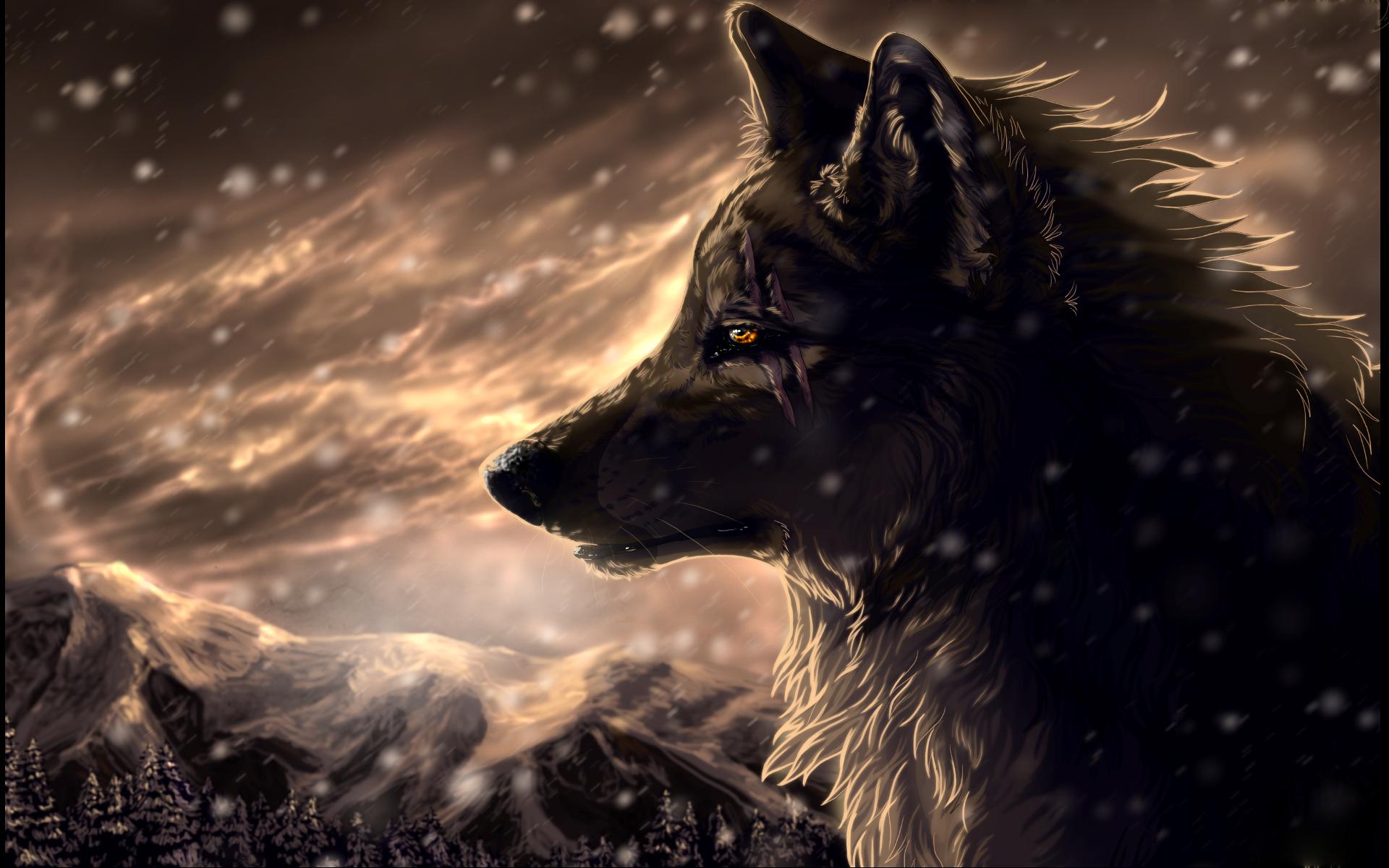 fantasy wolf images free download