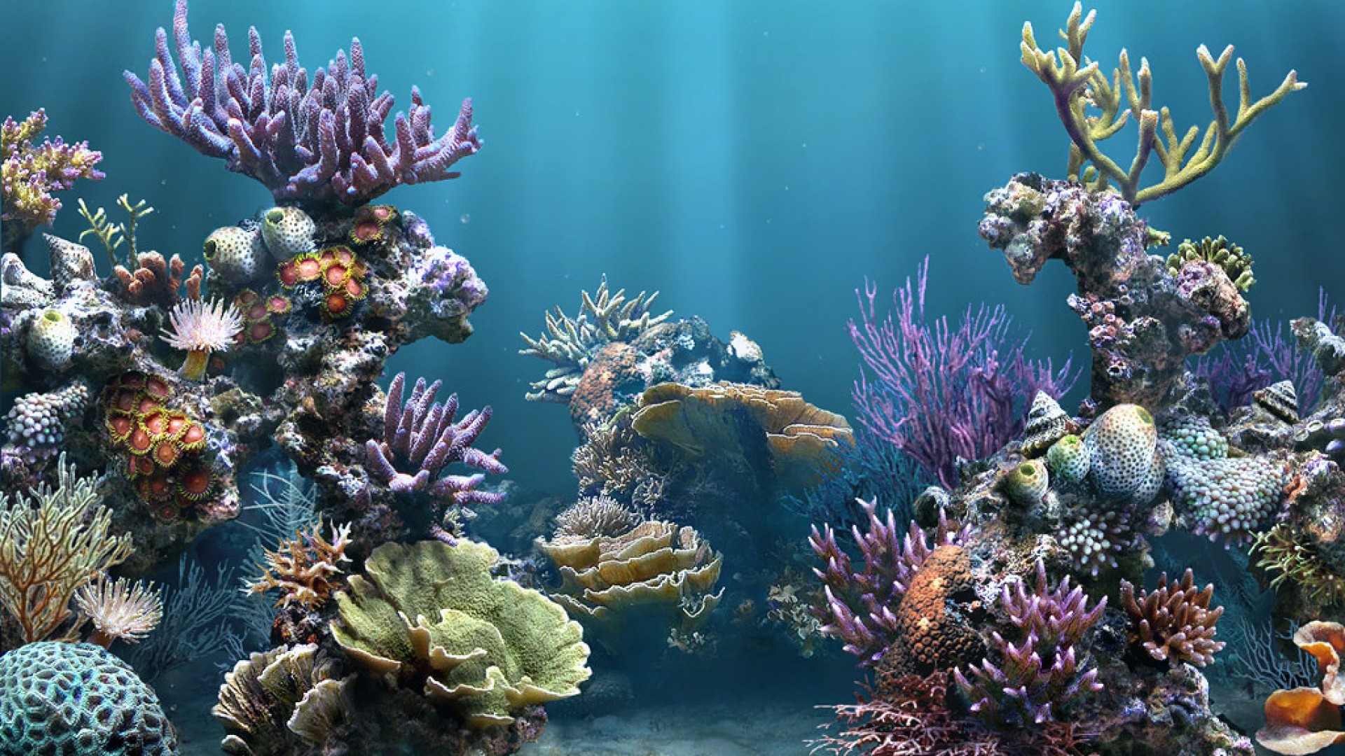 fish aquarium hd 4k background wallpapers 3D