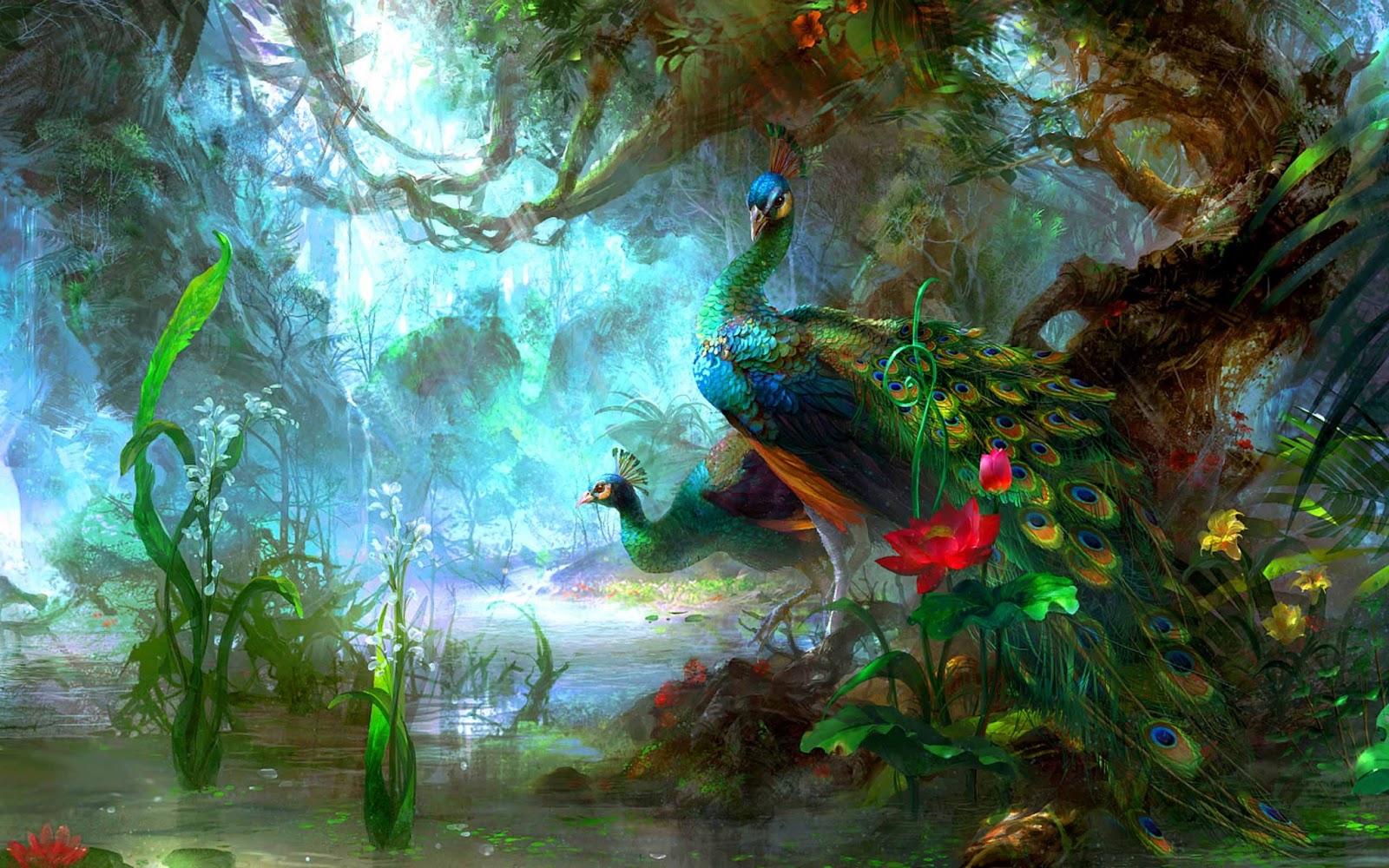 full hd peacock 4k background wallpapers