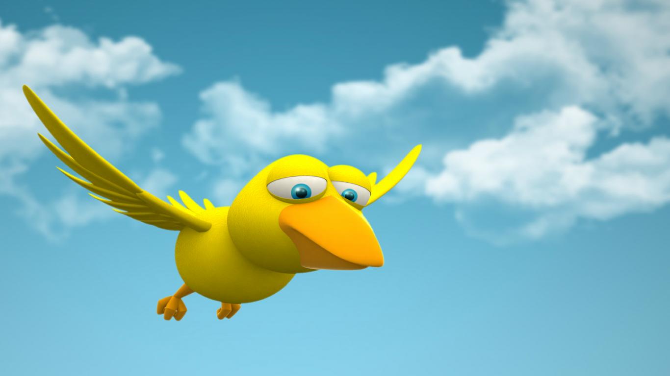 funny birds hd 4k background wallpapers 3D