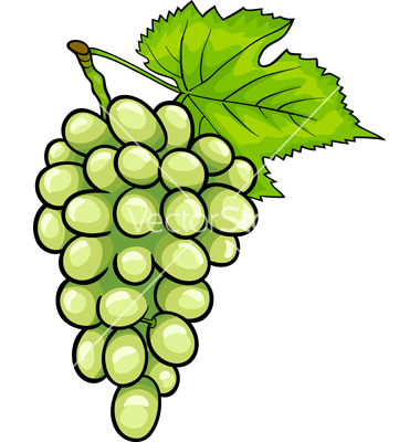 grapes images fruit download
