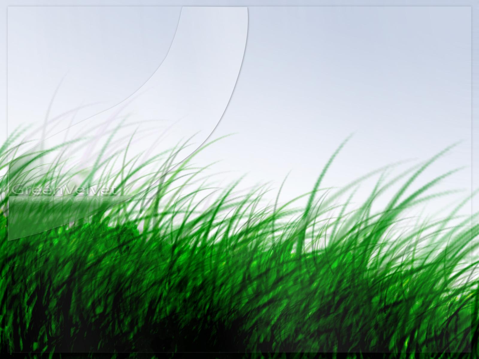 grassy hd 4k background wallpapers 3D