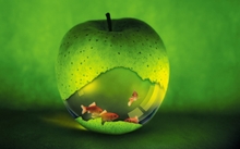 green apple fruits glass wallpaper download