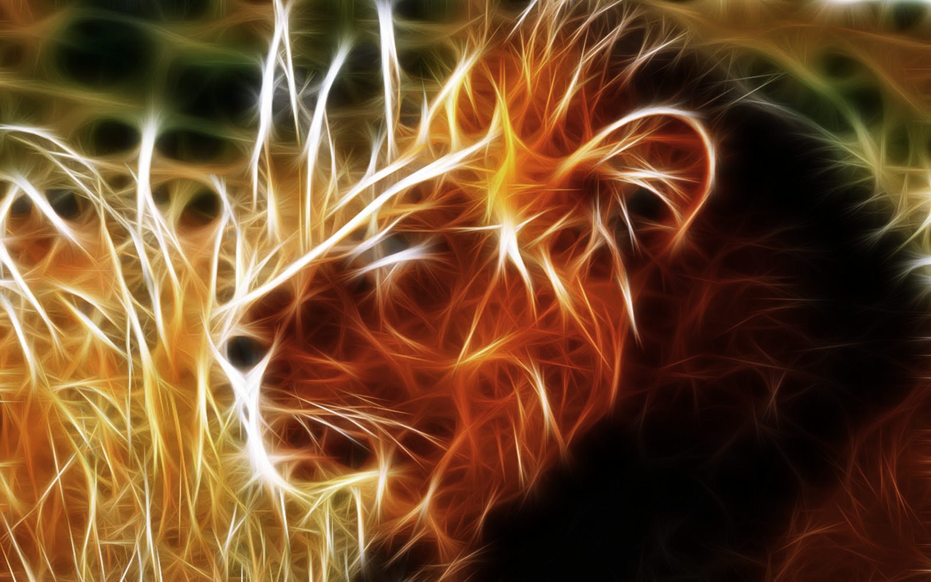 Hd 3d Lion 4k Background Wallpapers