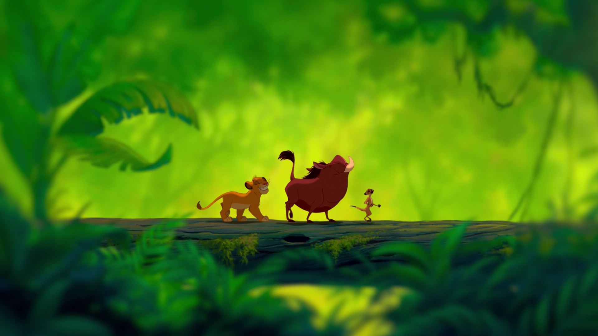 Hd 4k Background Wallpapers Of Lion King