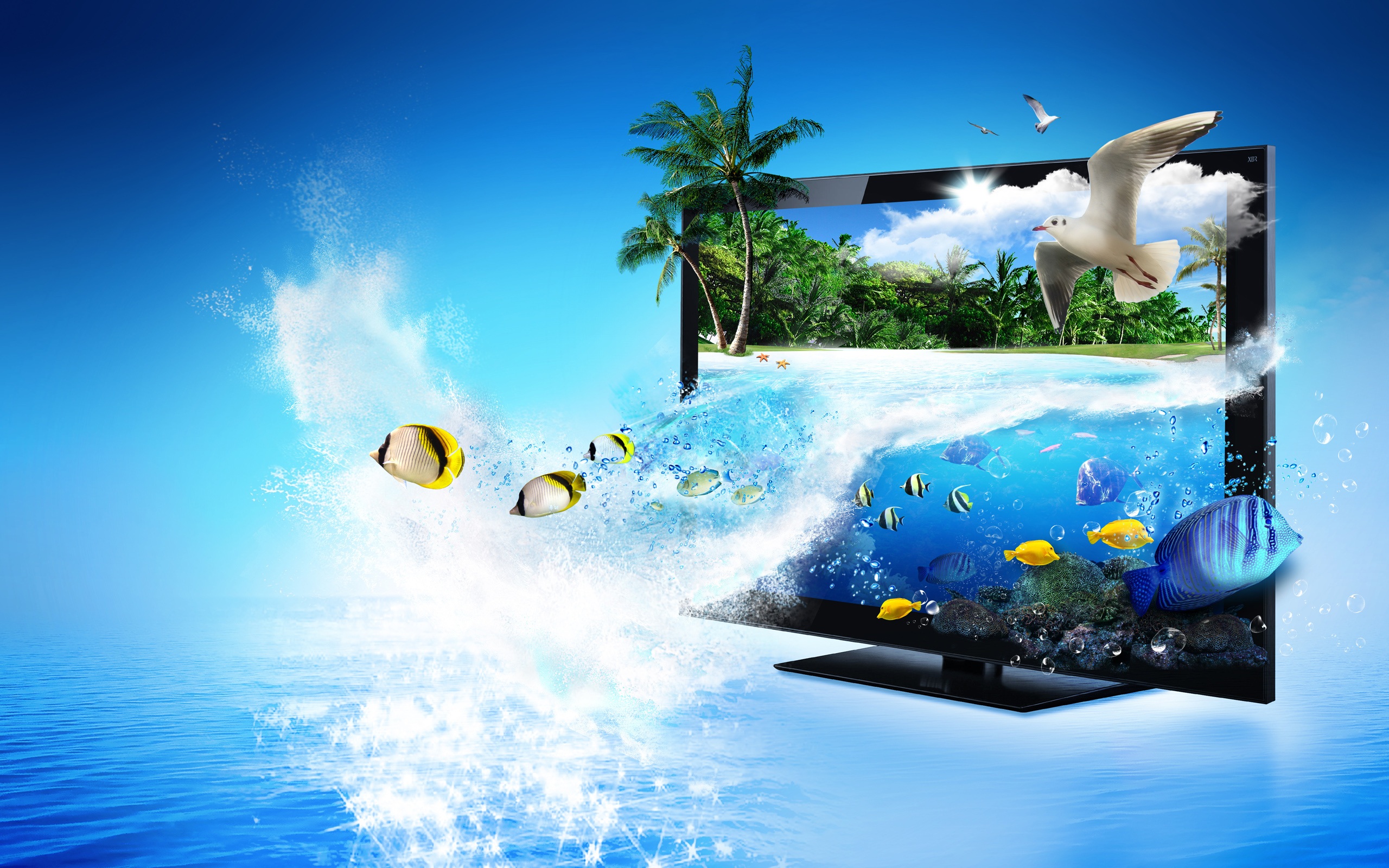 hd aquarium fish 3d wallpaper download