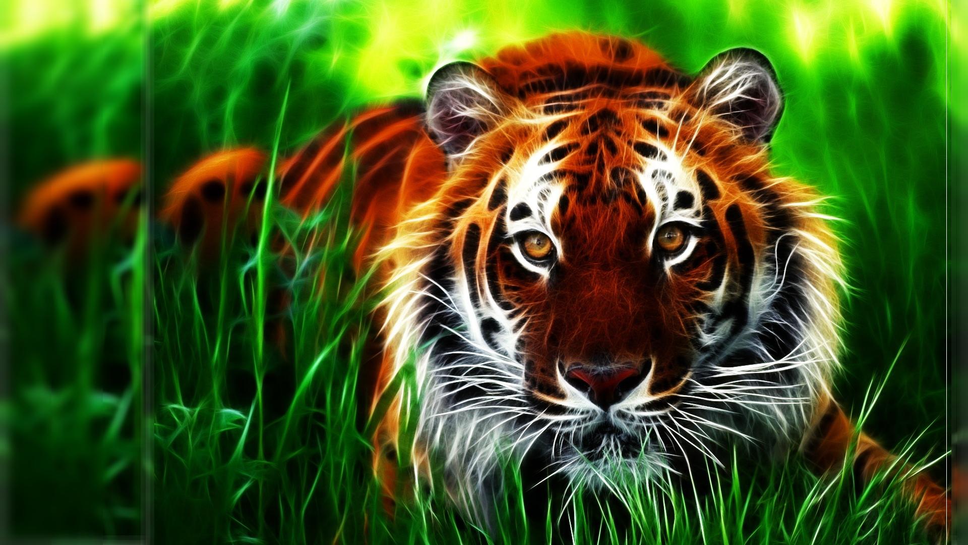 High Resolution Tiger Pictures Download