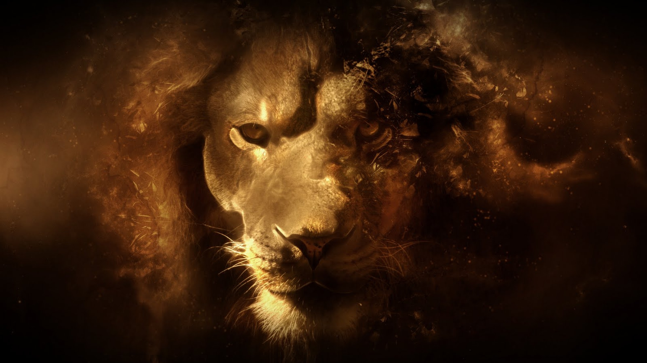 lion face wallpaper download