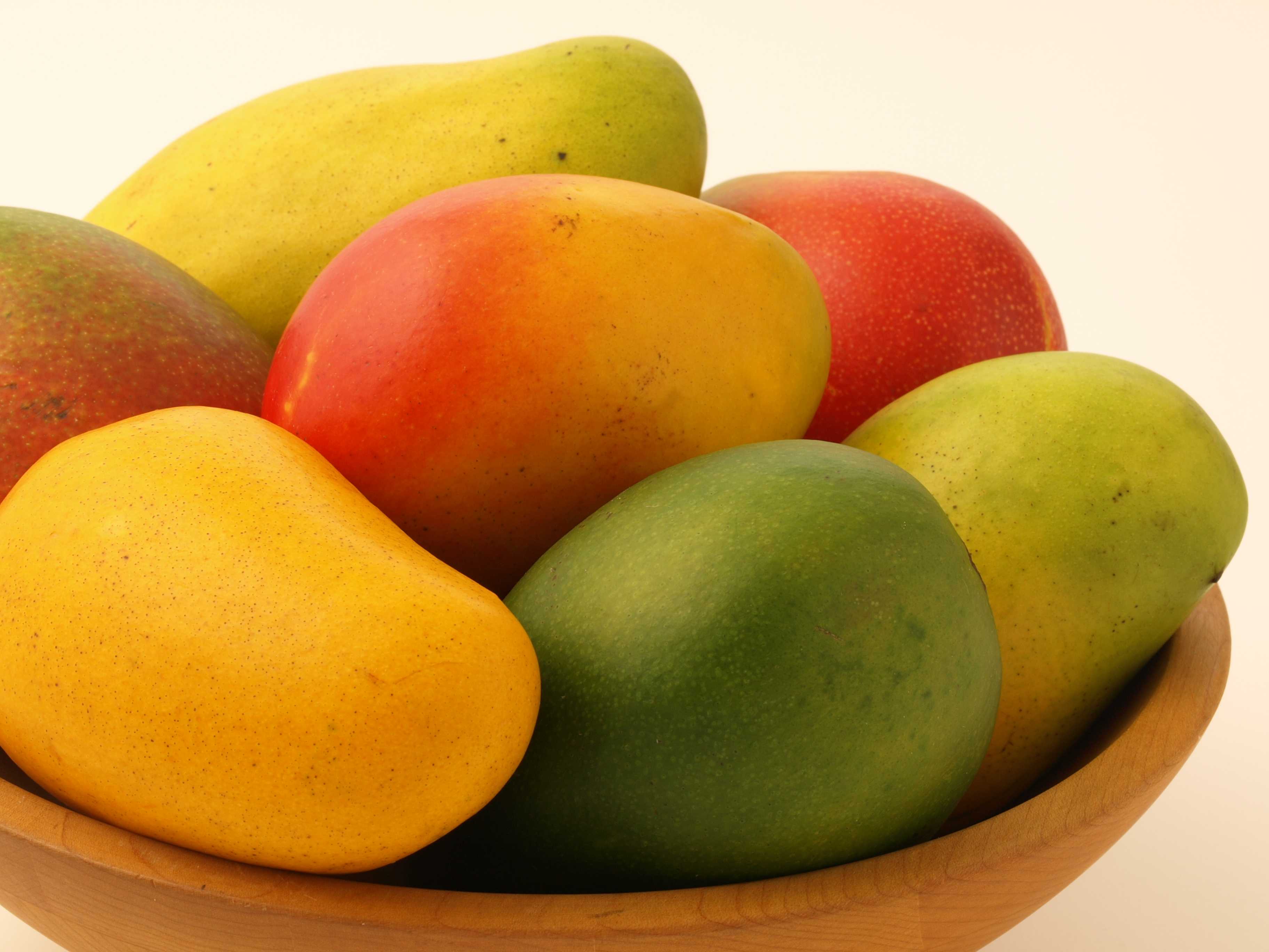 mango fruit tree images download