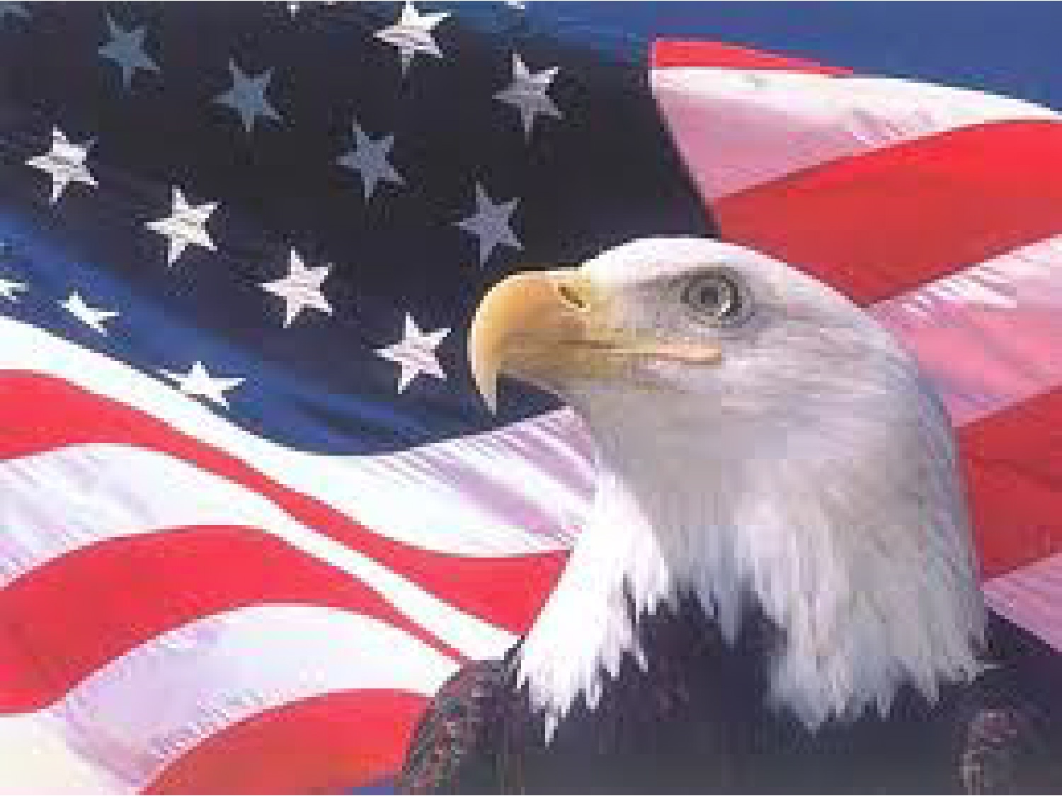 Mobile Desktop Background American Eagle And Flag Pics Download